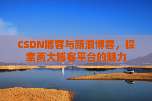 CSDN博客与新浪博客，探索两大博客平台的魅力